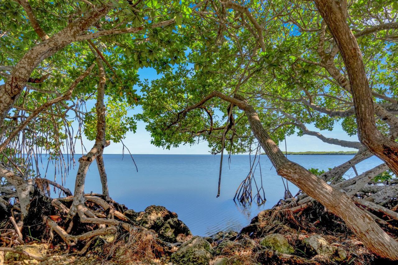 Dove Creek Resort & Marina, Trademark Collection By Wyndham Key Largo Dış mekan fotoğraf